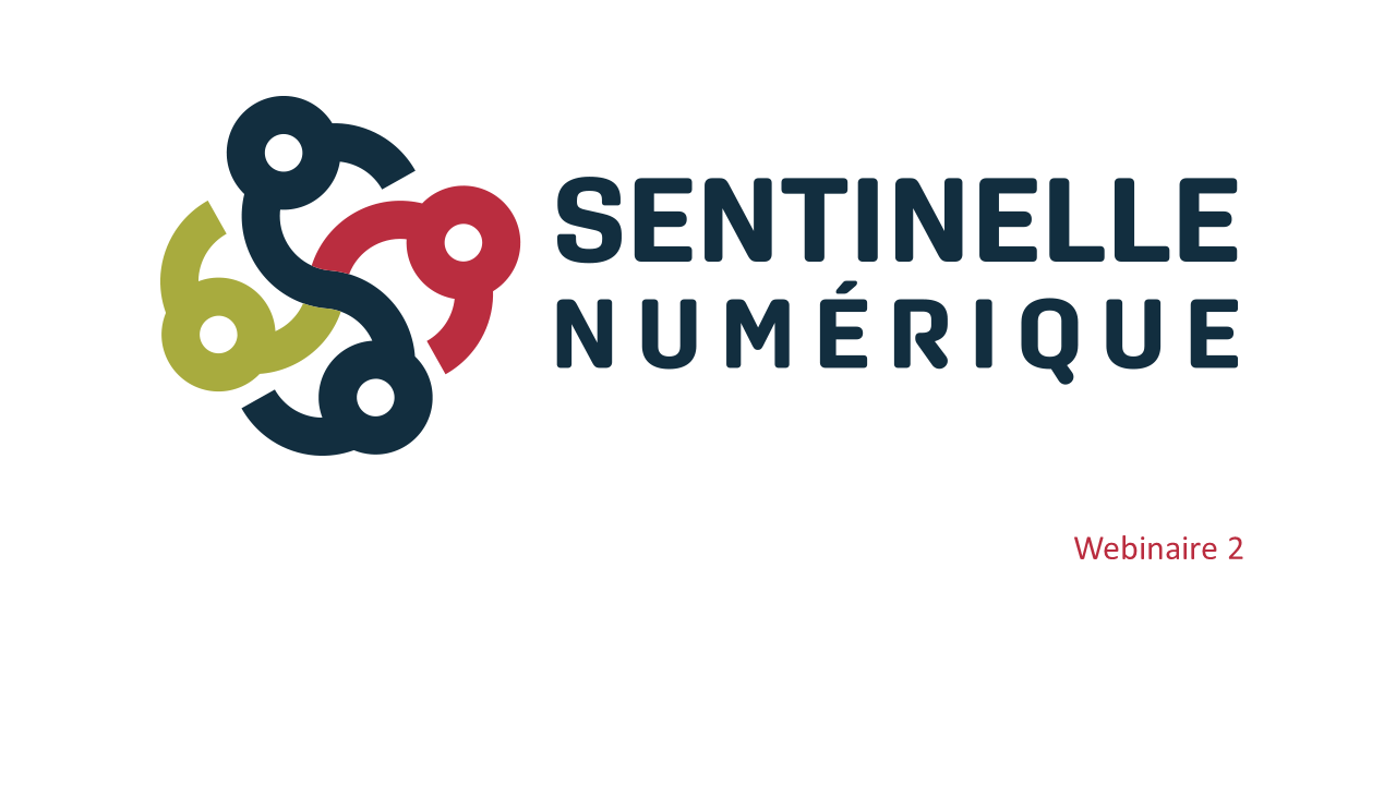 Webinaire 2